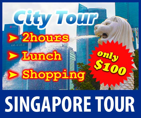 City Tour 二時間の昼食、買い物がたったの100ドル!シンガポールの旅をもっと楽しくする、SINGAPORE TOURはこちらから